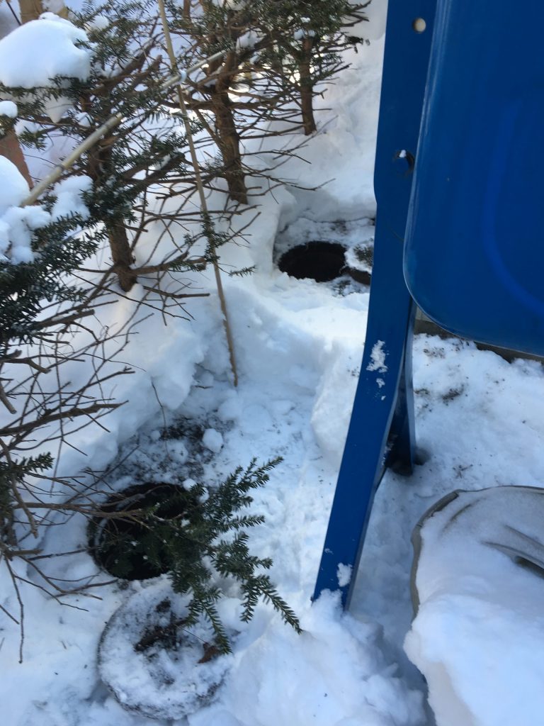 札幌市西区排水管つまり除去 屋外排水管つまり高圧洗浄