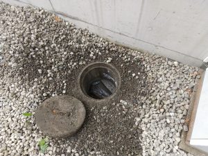 掘ったら出てきた排水マス