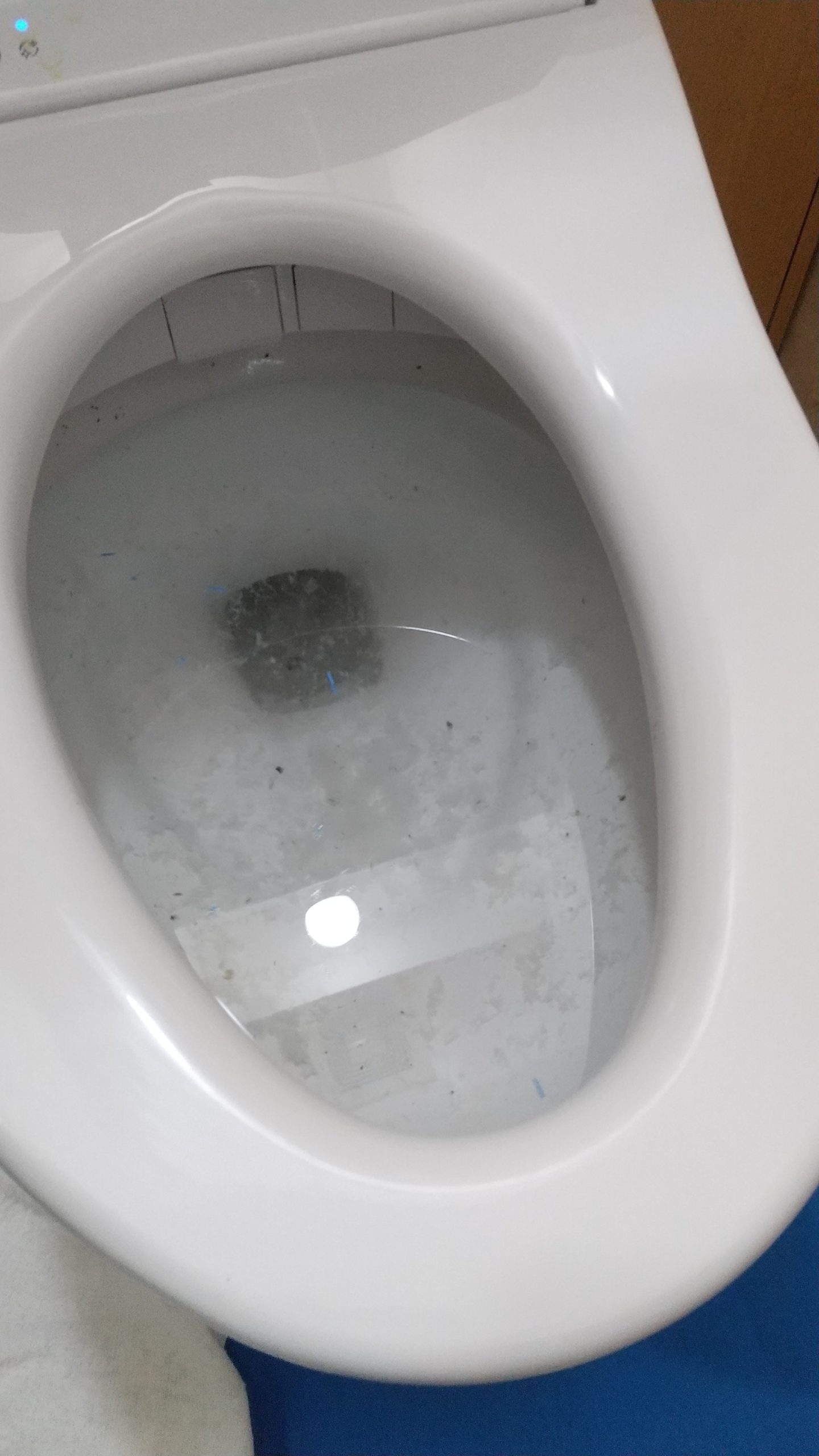 トイレの水つまり除去
